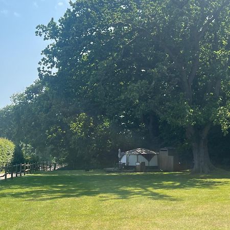 Old Dairy Farm Glamping 호텔 엠스워스 외부 사진